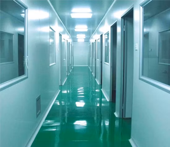 Polvo de jugo de fruta de granada soluble en agua liofilizado de suministro de fábrica