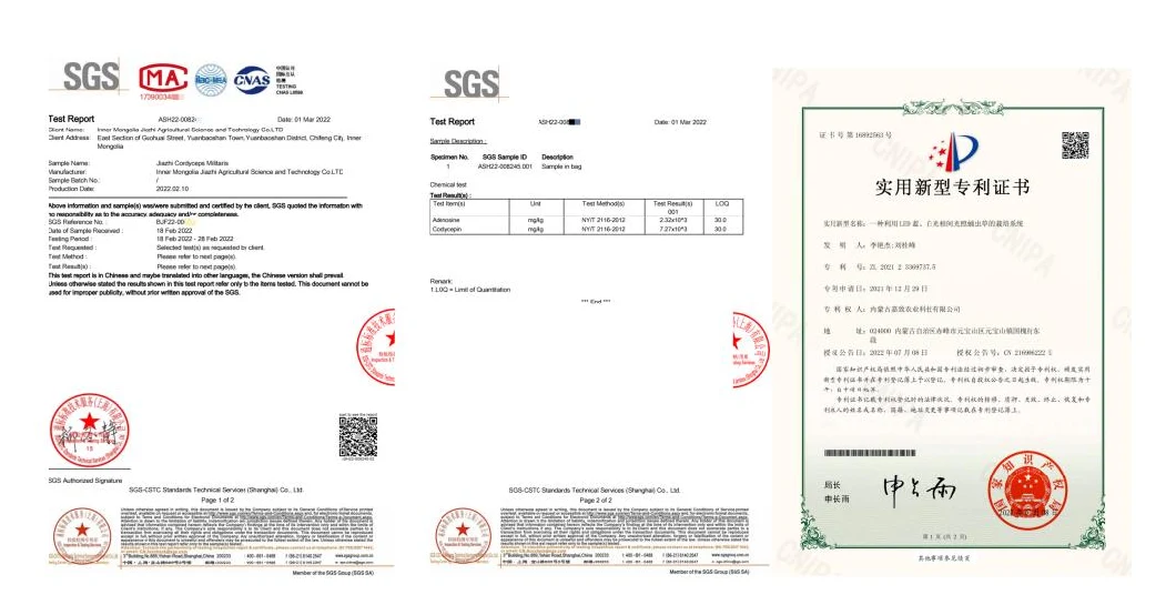 Selling Cordyceps Powder with Low Temperature Breaking Fruit Body