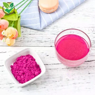 Polvo de fruta de pitaya de dragón rojo liofilizado orgánico natural 100%